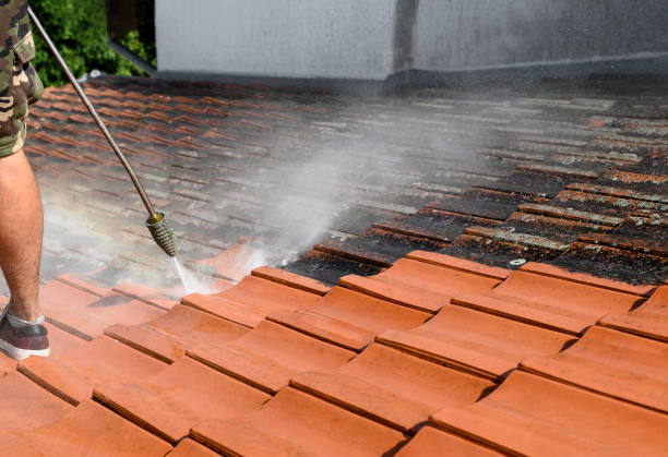 Best Residential Pressure Washing Services  in Osceola, IN