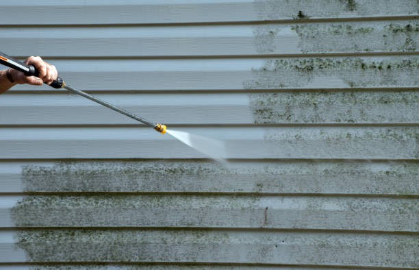 Best Roof Power Washing Services  in Osceola, IN