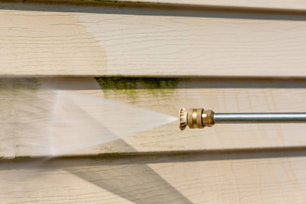 Best Residential Pressure Washing Services  in Osceola, IN