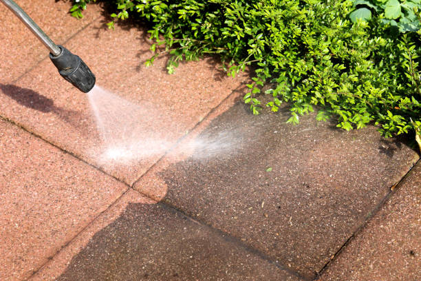 Best Deck Cleaning Services  in Osceola, IN